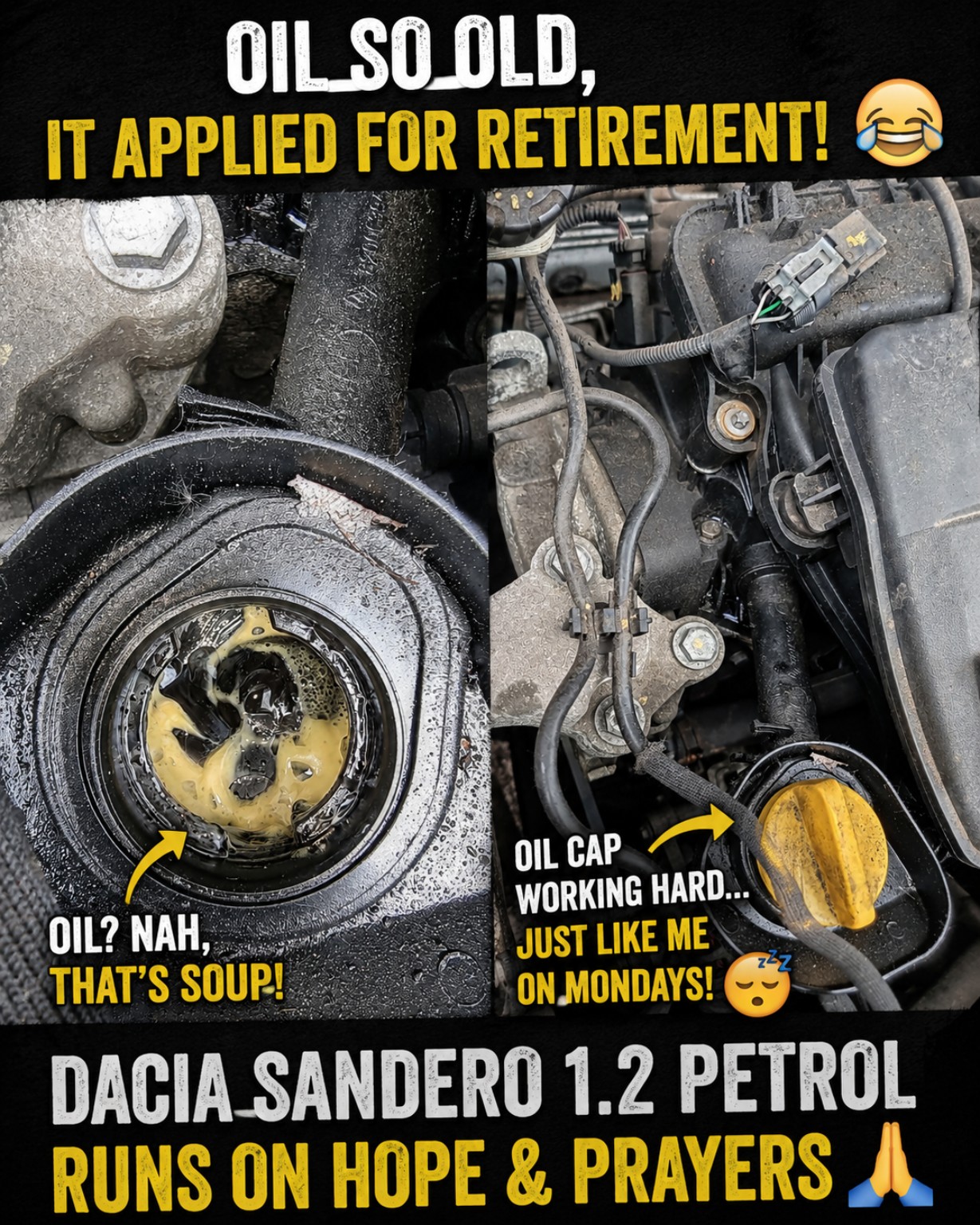 Dacia engine inspection